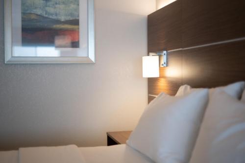 a hotel room with a bed and a picture on the wall at Holiday Inn Express Houghton-Keweenaw by IHG in Houghton
