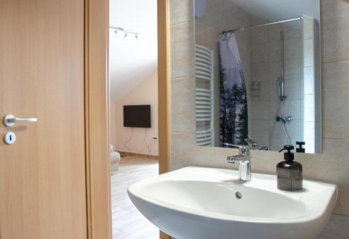een badkamer met een wastafel en een spiegel bij Bánki Vendégház in Bánk
