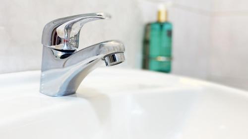 a bathroom sink with a faucet and a soap bottle at ALISIO in Sinaia