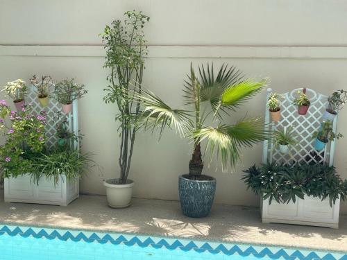 Сад в Villa Ngorè Saly