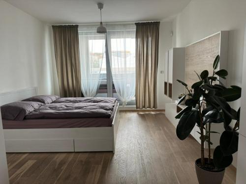 sypialnia z łóżkiem i doniczką w obiekcie O2 Arena Holliday suites w Pradze