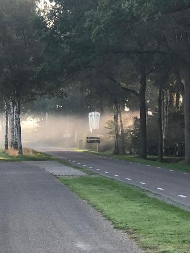 a road with a bench on the side of the road at Saevis tranquillus in undis in de IJsvogel in Diffelen