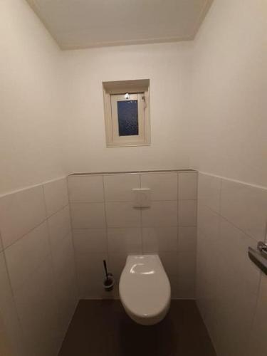 a white toilet in a bathroom with a window at Saevis tranquillus in undis in de IJsvogel in Diffelen
