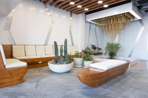 a lobby with couches and potted plants at Prixma Hotel in San Andrés