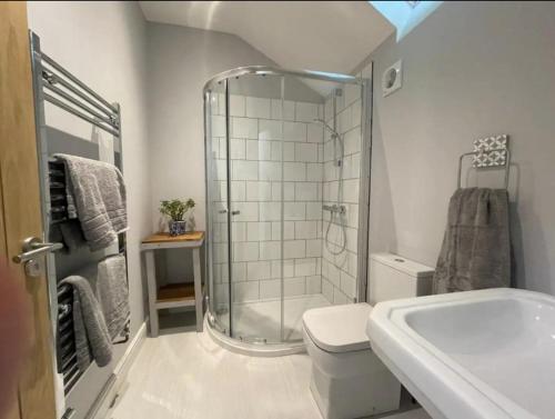 a bathroom with a shower and a toilet and a sink at Evelith Manor Barns in Shifnal