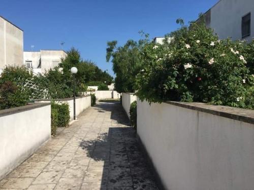 Φωτογραφία από το άλμπουμ του casetta del sole στο Οτράντο