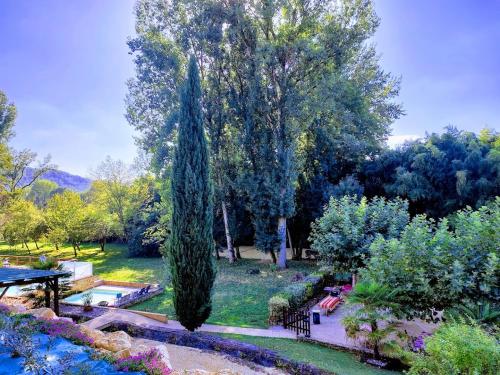 a garden with a large tree and a pool at Le Moulin du Porteil in Campagne