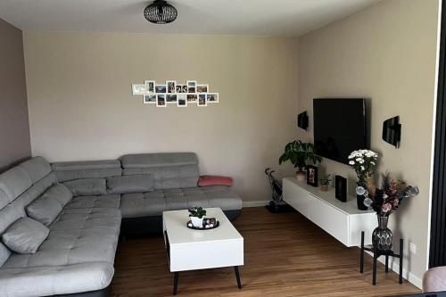 un soggiorno con divano grigio e TV di Familientraum a Großweitzschen