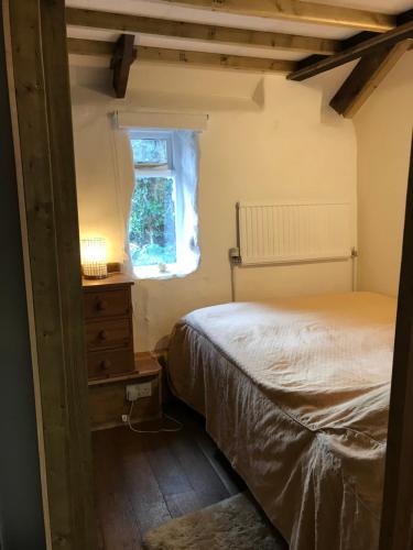 a bedroom with a bed and a window at Tiny Cosy Snug in Pembrokeshire