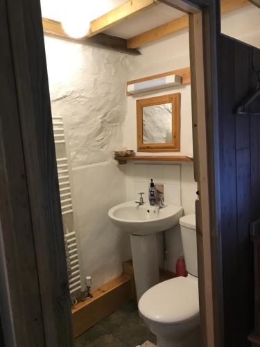 a bathroom with a sink and a toilet at Tiny Cosy Snug in Pembrokeshire