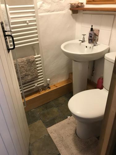 a bathroom with a toilet and a sink at Tiny Cosy Snug in Pembrokeshire