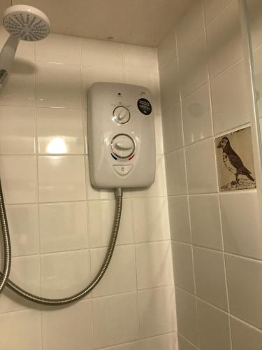 a shower in a bathroom with a bird on the wall at Tiny Cosy Snug in Pembrokeshire