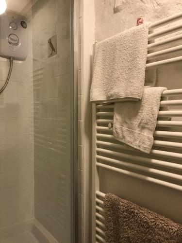a bathroom with a shower and towels on a towel rack at Tiny Cosy Snug in Pembrokeshire