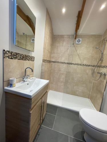 a bathroom with a sink and a shower and a toilet at Trengothal Barn in Porthcurno