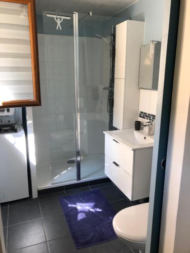 a bathroom with a shower and a toilet and a sink at Studio La lanterne avec Jardin in Sainte-Geneviève-des-Bois