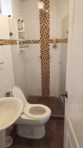 a bathroom with a toilet and a sink and a shower at Habitaciones en apartamento central, cerca de sitios turísticos Jardín Botánico y metro estación universidad in Medellín