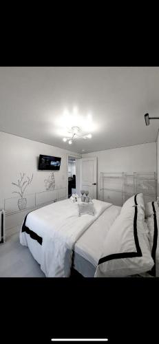 een slaapkamer met een groot wit bed en een televisie bij The 2D Spot! in Buffalo