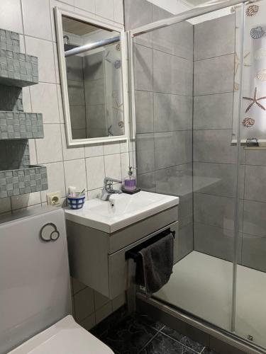 a bathroom with a sink and a shower at Ferienwohnung Bodensee in Hohenfels