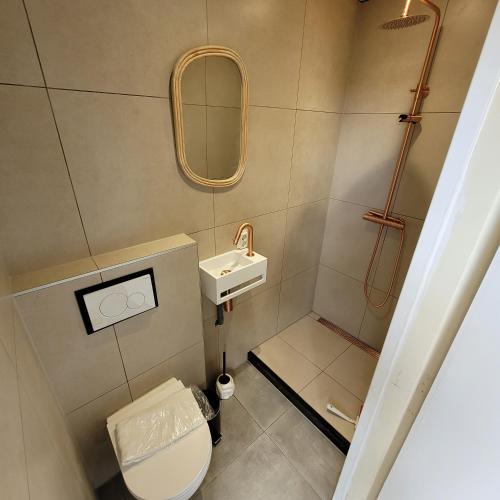 a small bathroom with a toilet and a sink at Ecolodges De Dreef Guesthouse in Renesse