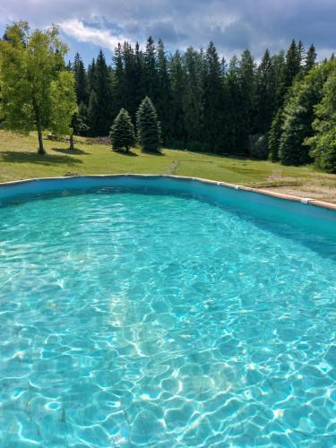 a large pool of blue water with trees in the background at U Dvou rysů in Zdíkov