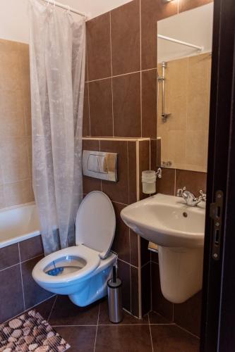 a bathroom with a toilet and a sink at Martini villa Lake in Razlog
