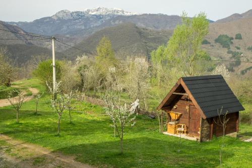 a small cabin in a field with mountains in the background at Djurdjevina Family Farm in Kolašin
