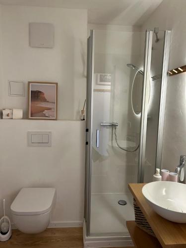 a bathroom with a shower and a toilet and a sink at Amselnest in Rimsting