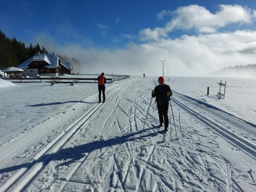 two people are cross country skiing in the snow at U Dvou rysů in Zdíkov