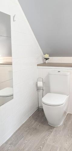 a white bathroom with a toilet and a sink at Erradale in Campbeltown