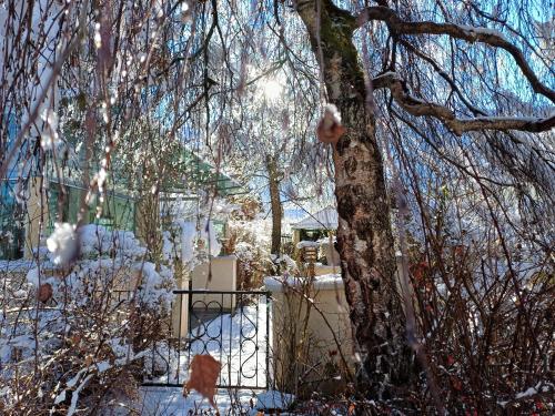 a snow covered yard with a tree and a fence at Ferienhaus Tolazzi in Arnoldstein