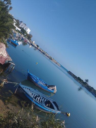 three boats are docked on the shore of a river at Appartement 2 à Carthage byrsa in Douar ech Chott