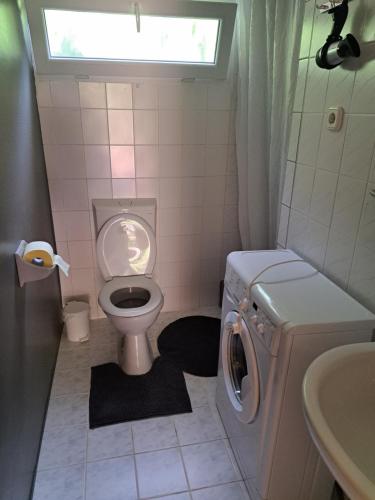 ein Badezimmer mit einem WC und einer Waschmaschine in der Unterkunft Anna Faház in Balatonmáriafürdő