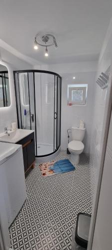 a bathroom with a toilet and a sink and a shower at domki letniskowe ŚWIĘTY SPOKÓJ in Rusinowo