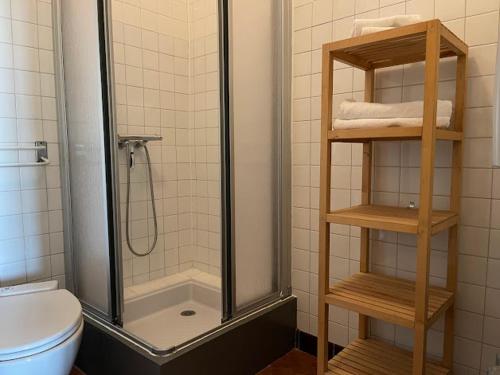 a bathroom with a shower and a toilet at Les hyacinthes 4 in Sarlat-la-Canéda