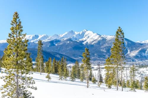 a group of trees in the snow with mountains in the background at Gateway #5055 in Keystone