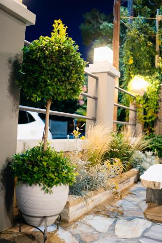 Κήπος έξω από το Niriides Apartments