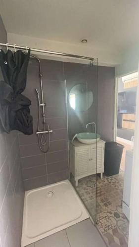 ein Bad mit einer Dusche und einem Waschbecken in der Unterkunft Agréable T2 proche Toulouse in Léguevin