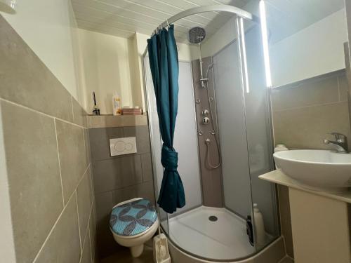 a bathroom with a shower and a toilet and a sink at Au clair de la Lune - jusqu'à 4 personnes, centre historique in Porrentruy