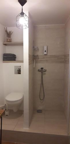 une salle de bain avec toilettes et cabine de douche dans l'établissement Les figues et les cigales, à Hyères