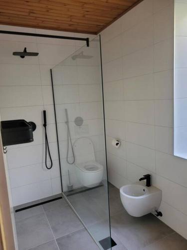 バート・アイゼンカッペルにあるLuxury with touch of historyのシャワーとトイレ付きのバスルーム