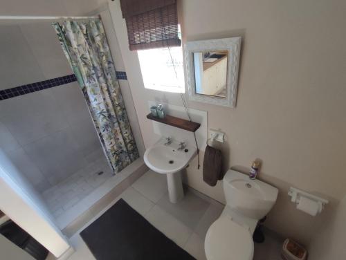 a bathroom with a toilet and a sink and a shower at Paradise in the City - Cottage One in Port Elizabeth