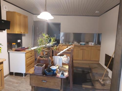 una cocina con armarios de madera y una mesa con plantas en Maison d'hôte Domoland, en Olby