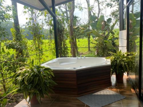 a bath tub in a room with plants at Eden Organic Farm & Bungalows in Fortuna
