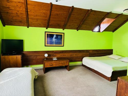 zielony pokój z dwoma łóżkami i telewizorem w obiekcie Penzion Myslivna w mieście Velký Újezd