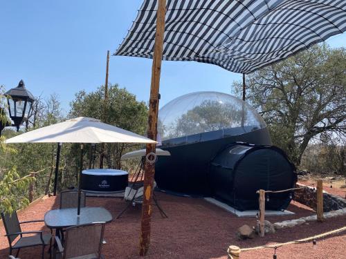 a glass dome with an umbrella and a table and chairs at MEYAHUALLI GLAMPING in Huasca de Ocampo