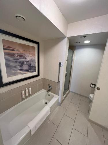 a bathroom with a white tub and a painting on the wall at Chicago Marriott Suites O'Hare in Rosemont