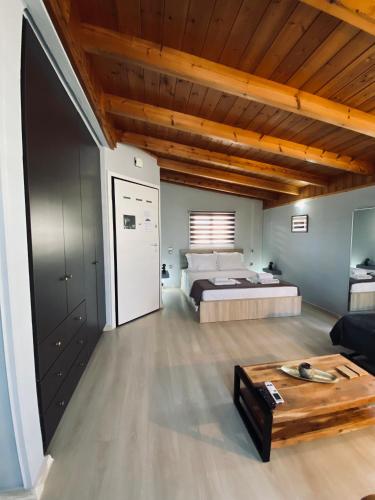 1 dormitorio grande con 1 cama y techo de madera en Keskos Luxury Apartment en Athens