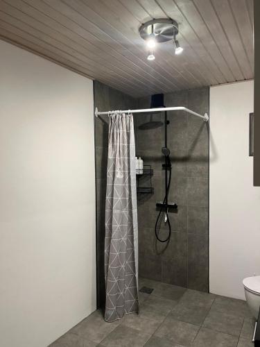 a bathroom with a shower curtain and a sink at Apartment in Billund in Billund