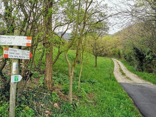 a street sign next to a road with trees at La casa nel borgo in Cavaso del Tomba