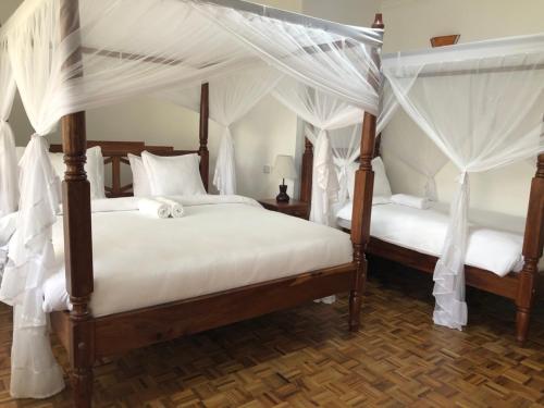 Duas camas com cortinas brancas num quarto em Bird of Paradise Eco Lodge em Arusha